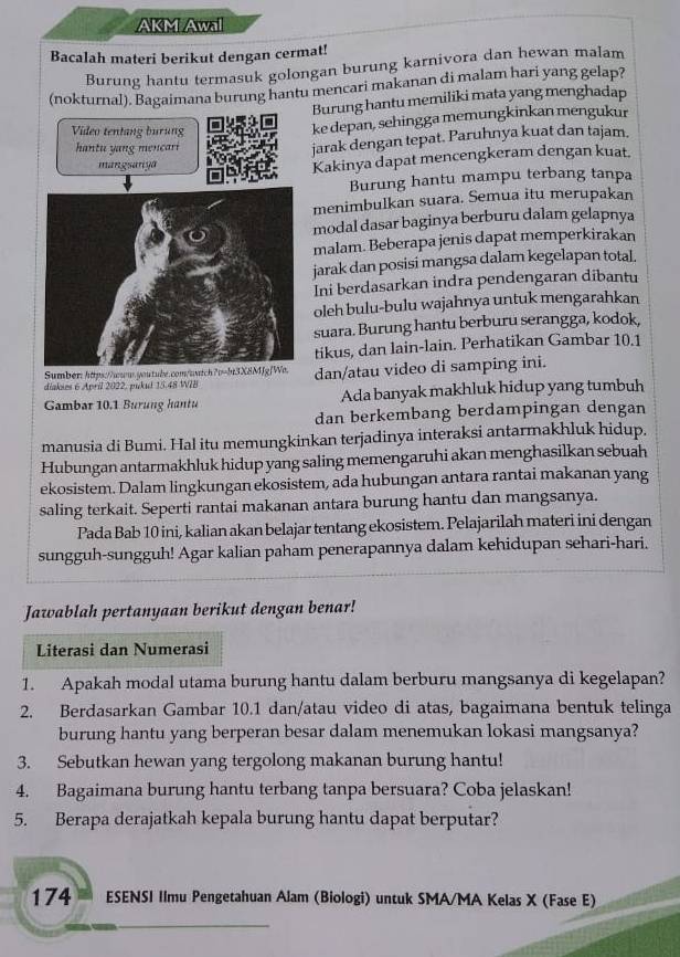 AKM Awal
Bacalah materi berikut dengan cermat!
Burung hantu termasuk golongan burung karnivora dan hewan malam
(nokturnal). Bagaimana burung hantu mencari makanan di malam hari yang gelap?
Burung hantu memiliki mata yang menghadap
Video tentang burung
ke depan, sehingga memungkinkan mengukur
hantu yang mencari jarak dengan tepat. Paruhnya kuat dan tajam.
mangsarya
Kakinya dapat mencengkeram dengan kuat.
Burung hantu mampu terbang tanpa
menimbulkan suara. Semua itu merupakan
modal dasar baginya berburu dalam gelapnya
malam. Beberapa jenis dapat memperkirakan
jarak dan posisi mangsa dalam kegelapan total.
Ini berdasarkan indra pendengaran dibantu
oleh bulu-bulu wajahnya untuk mengarahkan
suara. Burung hantu berburu serangga, kodok,
tikus, dan lain-lain. Perhatikan Gambar 10.1
Sumber: https://www.youtube.com/wach70=ht3X8MJg]Wo.
diakses 6 April 2022, pukul 15.48 WIB dan/atau video di samping ini.
Gambar 10.1 Burung hantu Ada banyak makhluk hidup yang tumbuh
dan berkembang berdampingan dengan
manusia di Bumi. Hal itu memungkinkan terjadinya interaksi antarmakhluk hidup.
Hubungan antarmakhluk hidup yang saling memengaruhi akan menghasilkan sebuah
ekosistem. Dalam lingkungan ekosistem, ada hubungan antara rantai makanan yang
saling terkait. Seperti rantai makanan antara burung hantu dan mangsanya.
Pada Bab 10 ini, kalian akan belajar tentang ekosistem. Pelajarilah materi ini dengan
sungguh-sungguh! Agar kalian paham penerapannya dalam kehidupan sehari-hari.
Jawablah pertanyaan berikut dengan benar!
Literasi dan Numerasi
1. Apakah modal utama burung hantu dalam berburu mangsanya di kegelapan?
2. Berdasarkan Gambar 10.1 dan/atau video di atas, bagaimana bentuk telinga
burung hantu yang berperan besar dalam menemukan lokasi mangsanya?
3. Sebutkan hewan yang tergolong makanan burung hantu!
4. Bagaimana burung hantu terbang tanpa bersuara? Coba jelaskan!
5. Berapa derajatkah kepala burung hantu dapat berputar?
174 ESENSI Ilmu Pengetahuan Alam (Biologi) untuk SMA/MA Kelas X (Fase E)