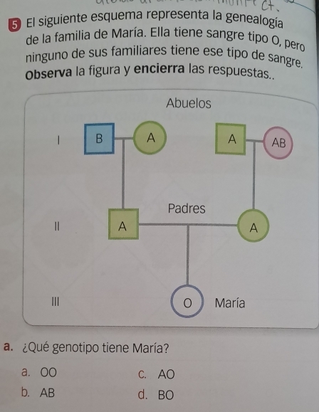 El siguiente esquema representa la genealogía
de la familia de María. Ella tiene sangre tipo O, pero
ninguno de sus familiares tiene ese tipo de sangre.
Observa la figura y encierra las respuestas..
a. ¿Qué genotipo tiene María?
a. Oo C. AO
b. AB d. BO