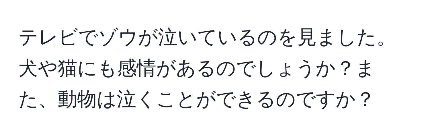 テレビでゾウが泣いているのを見ました。犬や猫にも感情があるのでしょうか？また、動物は泣くことができるのですか？