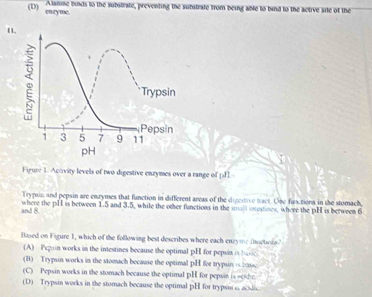 Alanine binds to the substrate, preventing the substrate from being able to bind to the active site of the
(D) enzyme.
1、
ω
Trypsin
Pepsin
1 3 5 7 9 11
pH
Figure 1. Activity levels of two digestive enzymes over a range of pHI
Trypsin and pepsin are enzymes that function in different areas of the digestive tract. One functions in the stomach,
where the pH is between 1.5 and 3.5, while the other functions in the small intestines, where the pH is between 6
and 8
Based on Figure 1, which of the following best describes where each enzyme functions?
(A) Pepsin works in the intestines because the optimal pH for pepsin is basic
(B) Trypsin works in the stomach because the optimal pH for trypsin is basie
(C) Pepsin works in the stomach because the optimal pH for pepsin is neide
(D) Trypsin works in the stomach because the optimal pH for trypsi is acidic