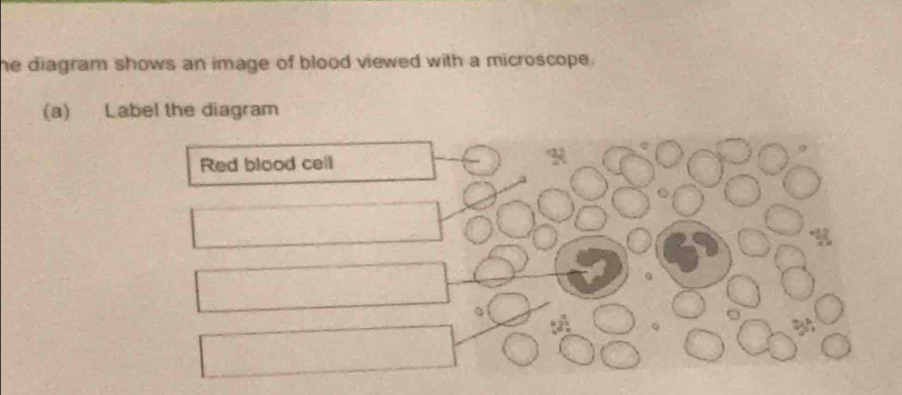 he diagram shows an image of blood viewed with a microscope . 
(a) Label the diagram 
Red blood cell N