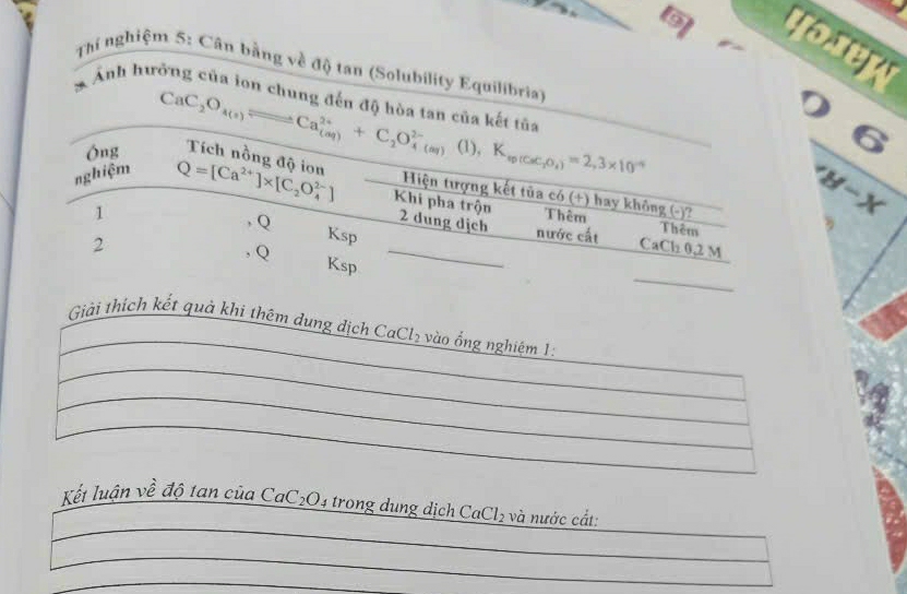 9]
yostr
Thí nghiệm 5: Cân bằng về độ tan (Solubility Equilibria)6
* Ảnh hưởng của ion chung đến độ hòa tan c
H-X
_ Giải thích kết quả khi thêm dung dịch CaCl₂ vào ống nghiệm 1:
_
_
_
_
_
_
Kết luận về độ tan của Ca( _2O 14 trong dung dịch CaCl₂ và nước cắt:  
_
_
_
_