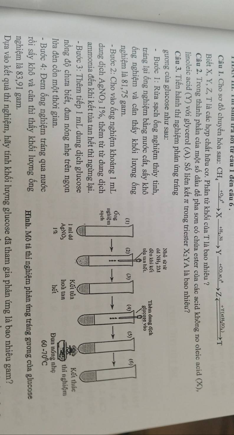 Tm sinh tra lới từ cầu 1 đến cầu 6 .
Câu 1. Cho sơ đồ chuyển hóa sau: CH_4xrightarrow +O_2,t^0Xto Xxrightarrow +H_2,NiYxrightarrow +CO,xt,t^0Zxrightarrow +Y(xtH_2SO_4)T
Biết X, Y, Z, T là các hợp chất hữu cơ. Phân tử khối của T là bao nhiêu ?
Câu 2. Trong thành phần của một số dầu để pha sơn có chứa ester của các acid không no oleic acid (X),
linoleic acid (Y) với glycerol (A). Số liên kết π trong triester X_2 YA là bao nhiêu?
Câu 3. Tiến hành thí nghiệm phản ứng tráng
gương của glucose như sau:
-  Bước 1: Rửa sạch ống nghiệm thủy tinh,
tráng lại ống nghiệm bằng nước cất, sấy khô
ổng nghiệm và cân thấy khối lượng ống
nghiệm là 81,75 gam.
- Bước 2: Cho vào ống nghiệm khoảng 1 mL
dung dịch AgNO_31% , thêm từ từ dung dịch
ammonia đến khi kết tủa tan hết thì ngừng lại.
- Bước 3: Thêm tiếp 1 mL dung dịch glucose
nồng độ chưa biết, đun nóng nhẹ trên ngọn
lửa đèn cồn một thời gian. 
- Bước 4: Đem ống nghiệm tráng qua nước
rồi sấy khô và cân thì thấy khối lượng ống Hình. Mô tả thí nghiệm phản ứng tráng gương của glucose
nghiệm là 83,91 gam.
Dựa vào kết quả thí nghiệm, hãy tính khối lượng glucose đã tham gia phản ứng là bao nhiêu gam?