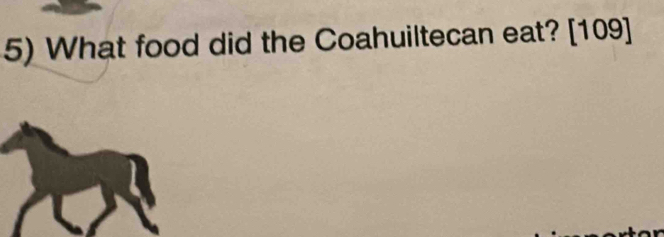 What food did the Coahuiltecan eat? [109]