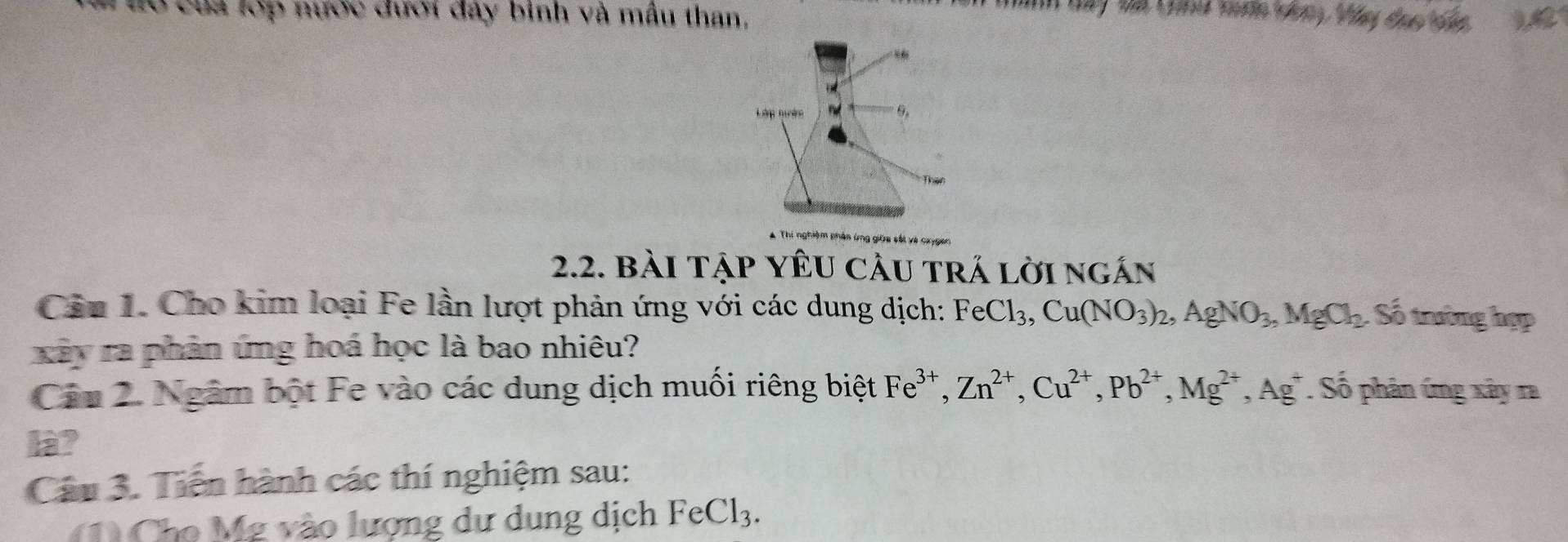 Hó của lớp nước đưới đây binh và mẫu than, 
tinh bay bà tou moớe kon Váy đạo á 
2.2. Bài TậP YÊU CầU trÁ lời ngắn 
Cản 1. Cho kim loại Fe lần lượt phản ứng với các dung dịch: FeCl_3, Cu(NO_3)_2, AgNO_3, MgCl_2 : Số trường hợp 
xây ra phản ứng hoá học là bao nhiêu? 
Cảu 2. Ngâm bột Fe vào các dung dịch muối riêng biệt Fe^(3+), Zn^(2+), Cu^(2+), Pb^(2+), Mg^(2+), Ag^+ * Số phân ứng xây ra 
là? 
Cáu 3. Tiến hành các thí nghiệm sau: 
1 Cho Mỹ vào lượng dư dung dịch FeCl_3.