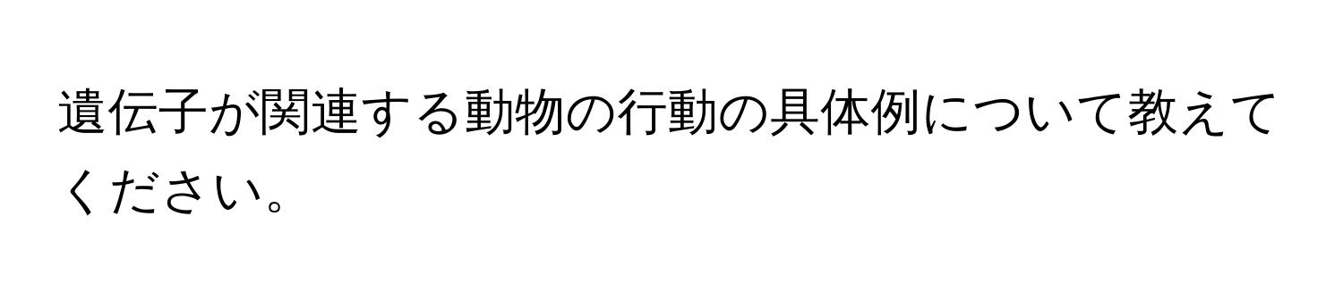 遺伝子が関連する動物の行動の具体例について教えてください。