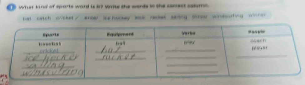 Te What kind of sports word is it7 write the words in the carrest solumn 
bet catch cricke . enter ise hockey laak recket sailing thoow windsurfing winner