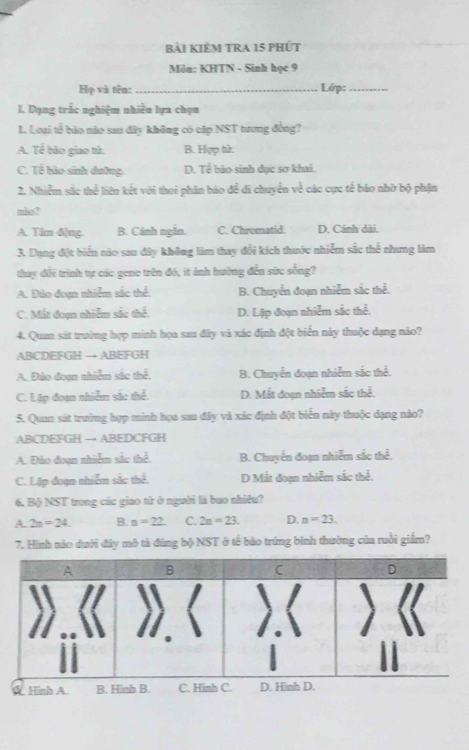 bài kIểM tRA 15 phút
Môn: KHTN - Sinh học 9
Họ và tên: _Lớp:_
1. Dạng trác nghiệm nhiều lựa chọn
1. Loại tế bảo nào san đây không có cặp NST tưrơng đồng?
A. Tế bào giao tử. B. Hợp từ.
C. Tổ bào sinh dưỡng. D. Tể bảo sinh dục sơ khai.
2. Nhiễm sắc thể liên kết với thoi phân bảo đề di chuyển về các cực tế bảo nhờ bộ phận
mis?
A. Tâm động. B. Cánh ngăn. C. Chromatid. D. Cánh dài.
3. Dạng đột biển nào sau đây không làm thay đổi kích thước nhiễm sắc thể nhưng làm
thay đổi trình tự các gene trên đó, ít ảnh hưởng đến sức sống?
A. Đào đoạn nhiễm sắc thể. B. Chuyển đoạn nhiễm sắc thể.
C. Mất đoạn nhiễm sắc thể. D. Lặp đoạn nhiễm sắc thể.
4. Quan sát trường hợp minh họa sau đây và xác định đột biển này thuộc dạng nào?
ABCDEFGH → ABEFGH
A. Đảo đoạn nhiễm sắc thể. B. Chuyển đoạn nhiễm sắc thể.
C. Lập đoạn nhiễm sắc thể. D. Mất đoạn nhiễm sắc thể.
5. Quan sát trường hợp minh họa san đây và xác định đột biển này thuộc dạng nào?
ABCDEFGH → ABEDCFGH
A. Đảo đoạn nhiễm sắc thể. B. Chuyển đoạn nhiễm sắc thể.
C. Lập đoạn nhiễm sắc thể. D Mất đoạn nhiễm sắc thể.
6. Bộ NST trong các giao tử ở người là bao nhiều?
A. 2n=24. B. n=22. C. 2n=23. D. n=23.
7. Hình nào dưới đây mô tả đúng bộ NST ở tế bào trứng bình thường của ruồi giắm?
Hình A. B. Hinh B. C. Hinh C. D. Hình .