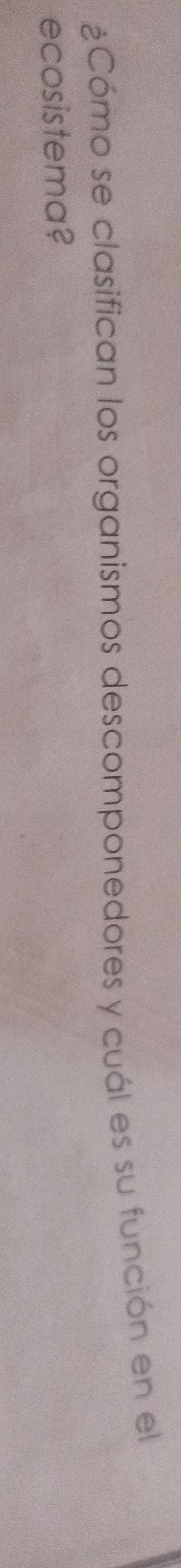 ¿Cómo se clasifican los organismos descomponedores y cuál es su función en el 
ecosistema?