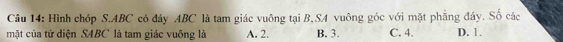 Hình chóp S. ABC có đáy ABC là tam giác vuông tại B,SA vuông góc với mặt phẳng đáy. Số các
mặt của tứ diện SABC là tam giác vuông là A. 2. B. 3. C. 4. D. 1.