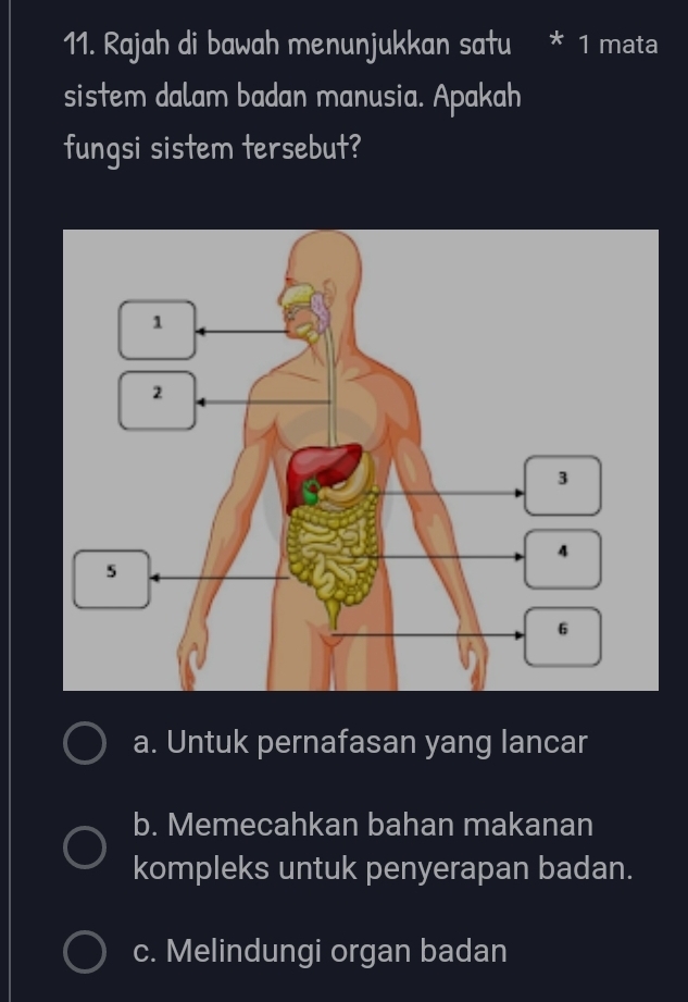 Rajah di bawah menunjukkan satu 1 mata
sistem dalam badan manusia. Apakah
fungsi sistem tersebut?
a. Untuk pernafasan yang lancar
b. Memecahkan bahan makanan
kompleks untuk penyerapan badan.
c. Melindungi organ badan