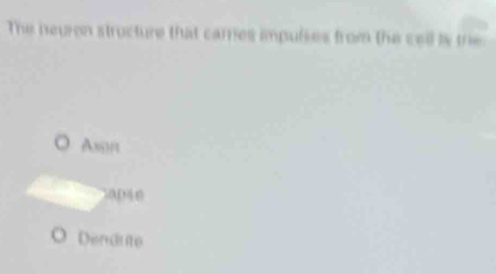 The neuron structure that carres impulses from the cell is the
Amil
ap4 0
Dendute