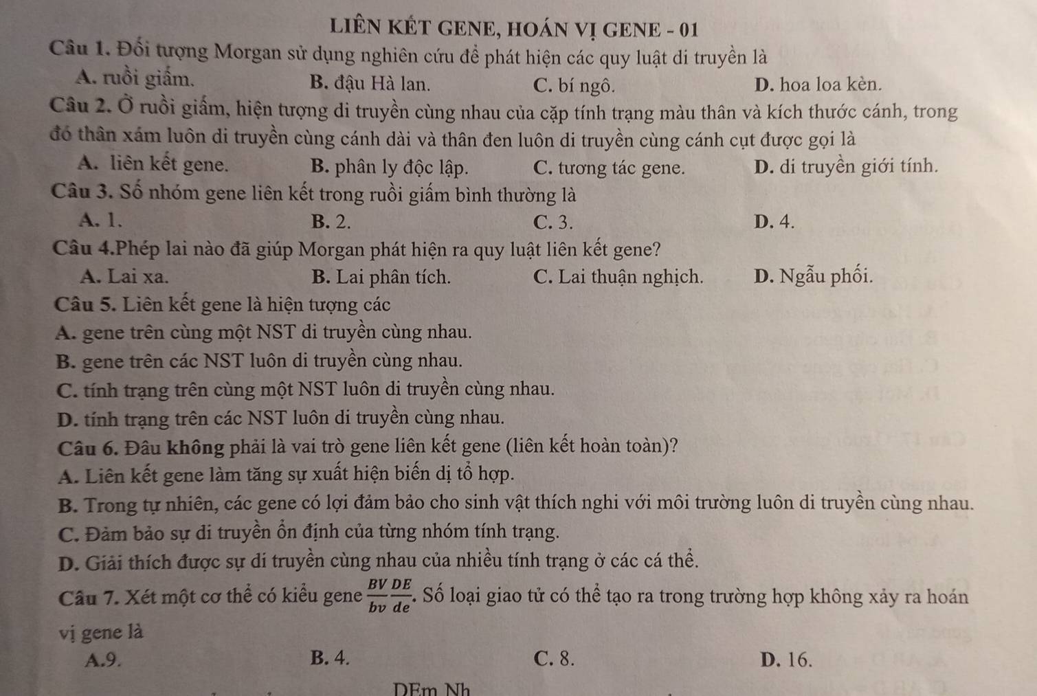 LIÊN KÉT GENE, HOÁN VỊ GENE - 01
Câu 1. Đối tượng Morgan sử dụng nghiên cứu để phát hiện các quy luật di truyền là
A. ruồi giấm. B. đậu Hà lan. C. bí ngô. D. hoa loa kèn.
Câu 2. Ở ruồi giấm, hiện tượng di truyền cùng nhau của cặp tính trạng màu thân và kích thước cánh, trong
đó thân xám luôn di truyền cùng cánh dài và thân đen luôn di truyền cùng cánh cụt được gọi là
A. liên kết gene. B. phân ly độc lập. C. tương tác gene. D. di truyền giới tính.
Câu 3. Số nhóm gene liên kết trong ruồi giấm bình thường là
A. 1. B. 2. C. 3. D. 4.
Câu 4.Phép lai nào đã giúp Morgan phát hiện ra quy luật liên kết gene?
A. Lai xa. B. Lai phân tích. C. Lai thuận nghịch. D. Ngẫu phối.
Câu 5. Liên kết gene là hiện tượng các
A. gene trên cùng một NST di truyền cùng nhau.
B. gene trên các NST luôn di truyền cùng nhau.
C. tính trạng trên cùng một NST luôn di truyền cùng nhau.
D. tính trạng trên các NST luôn di truyền cùng nhau.
Câu 6. Đâu không phải là vai trò gene liên kết gene (liên kết hoàn toàn)?
A. Liên kết gene làm tăng sự xuất hiện biến dị tổ hợp.
B. Trong tự nhiên, các gene có lợi đảm bảo cho sinh vật thích nghi với môi trường luôn di truyền cùng nhau.
C. Đảm bảo sự di truyền ổn định của từng nhóm tính trạng.
D. Giải thích được sự di truyền cùng nhau của nhiều tính trạng ở các cá thể.
Câu 7. Xét một cơ thể có kiểu gene  BV/bv  DE/de . Số loại giao tử có thể tạo ra trong trường hợp không xảy ra hoán
vị gene là
A.9. B. 4. C. 8. D. 16.
DEm Nh