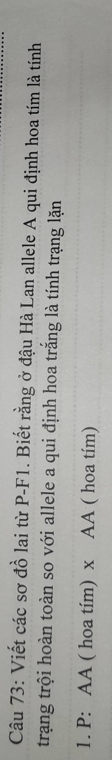 Viết các sơ đồ lai từ P-F1. Biết rằng ở đậu Hà Lan allele A qui định hoa tím là tính 
trạng trội hoàn toàn so với allele a qui định hoa trắng là tính trạng lặn 
1. P: AA ( hoa tím) xAA ( ( hoa tím)