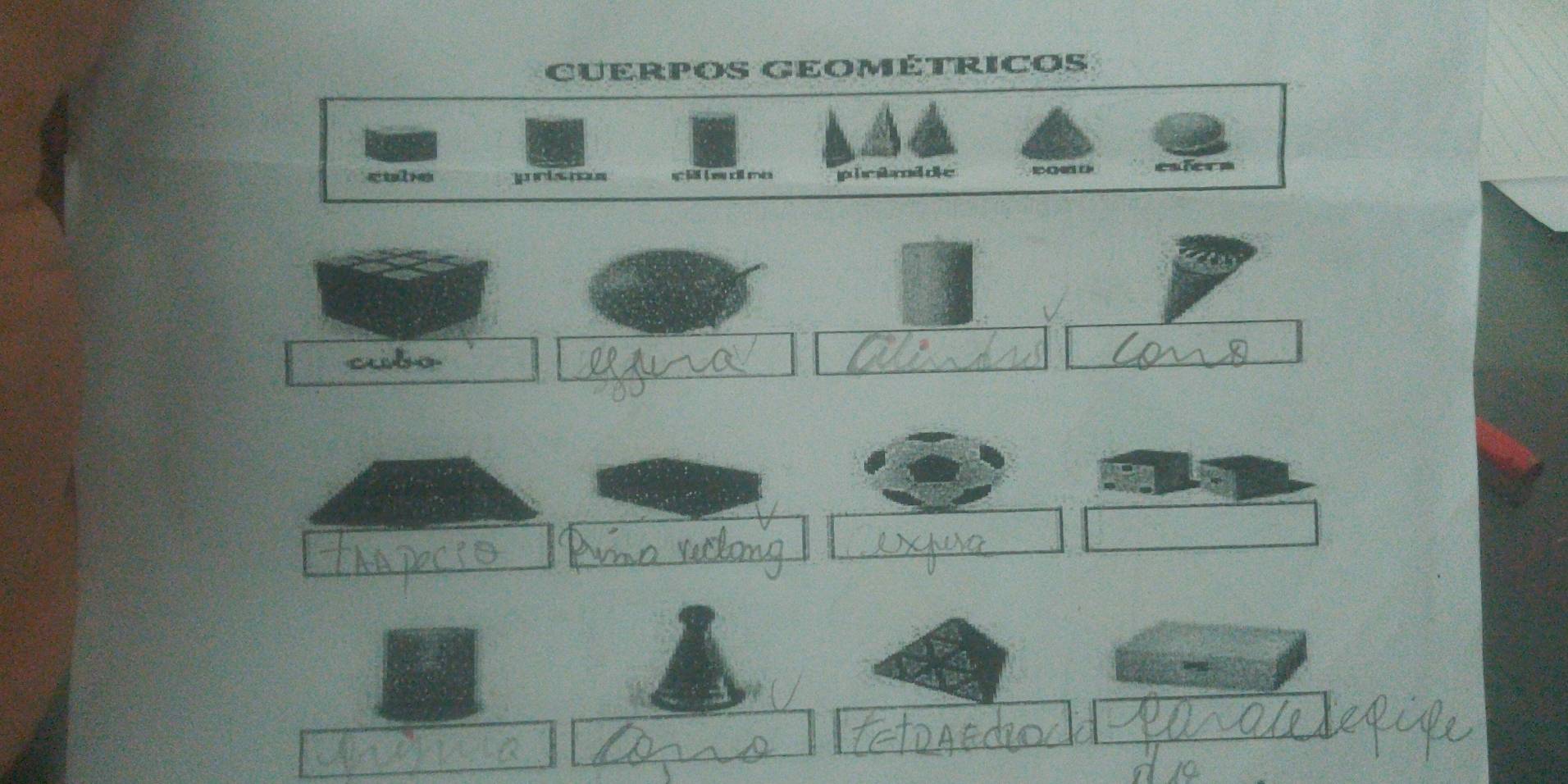 CuErpos GEométrIcos