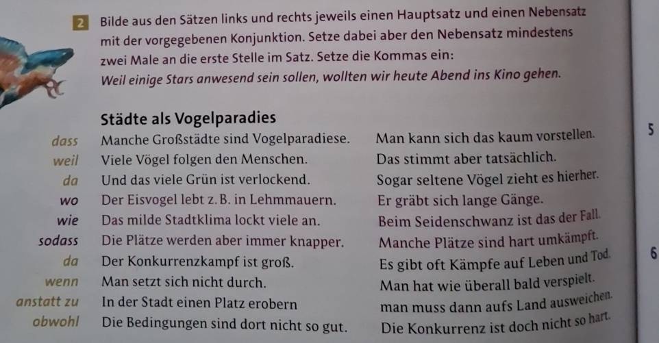 Bilde aus den Sätzen links und rechts jeweils einen Hauptsatz und einen Nebensatz 
mit der vorgegebenen Konjunktion. Setze dabei aber den Nebensatz mindestens 
zwei Male an die erste Stelle im Satz. Setze die Kommas ein: 
Weil einige Stars anwesend sein sollen, wollten wir heute Abend ins Kino gehen. 
Städte als Vogelparadies 
dass Manche Großstädte sind Vogelparadiese. Man kann sich das kaum vorstellen. 5 
weil Viele Vögel folgen den Menschen. Das stimmt aber tatsächlich. 
da Und das viele Grün ist verlockend. Sogar seltene Vögel zieht es hierher. 
wo Der Eisvogel lebt z. B. in Lehmmauern. Er gräbt sich lange Gänge. 
wie Das milde Stadtklima lockt viele an. Beim Seidenschwanz ist das der Fall. 
sodass Die Plätze werden aber immer knapper. Manche Plätze sind hart umkämpft. 
da Der Konkurrenzkampf ist groß. Es gibt oft Kämpfe auf Leben und Tod. 6 
wenn Man setzt sich nicht durch. Man hat wie überall bald verspielt. 
anstatt zu In der Stadt einen Platz erobern 
man muss dann aufs Land ausweichen. 
obwohl Die Bedingungen sind dort nicht so gut. Die Konkurrenz ist doch nicht so hart.