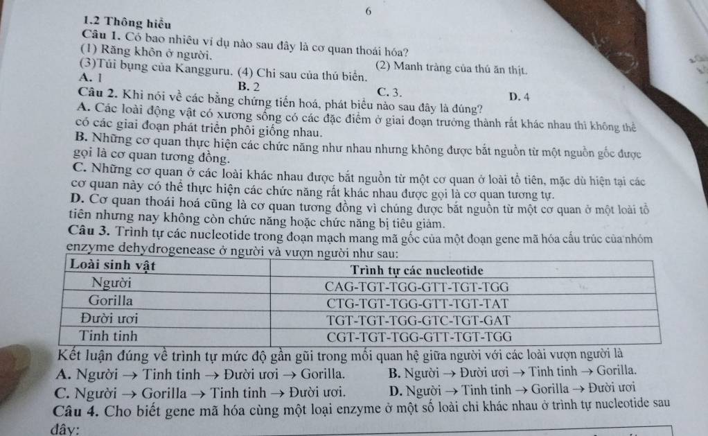 6
1.2 Thông hiểu
Câu 1. Có bao nhiêu vi dụ nào sau đây là cơ quan thoái hóa?
a
(1) Răng khôn ở người. (2) Manh tràng của thú ăn thịt.
(3)Túi bụng của Kangguru. (4) Chi sau của thú biển.
A. 1 B. 2 C. 3.
Câu 2. Khi nói về các bằng chứng tiến hoá, phát biểu nào sau đây là đúng? D. 4
A. Các loài động vật có xương sống có các đặc điểm ở giai đoạn trưởng thành rất khác nhau thi không thể
có các giai đoạn phát triển phôi giống nhau.
B. Những cơ quan thực hiện các chức năng như nhau nhưng không được bắt nguồn từ một nguồn gốc được
gọi là cơ quan tương đồng.
C. Những cơ quan ở các loài khác nhau được bắt nguồn từ một cơ quan ở loài tổ tiên, mặc dù hiện tại các
cơ quan này có thể thực hiện các chức năng rất khác nhau được gọi là cơ quan tương tự.
D. Cơ quan thoái hoá cũng là cơ quan tương đồng vì chúng được bắt nguồn từ một cơ quan ở một loài tô
tiên nhưng nay không còn chức năng hoặc chức năng bị tiêu giảm.
Câu 3. Trình tự các nucleotide trong đoạn mạch mang mã gốc của một đoạn gene mã hóa cấu trúc của nhóm
enzyme dehydrogenease ở người
Kết luận đúng về trình tự mức độ gần gũi trong mối quan hệ giữa người với các loài vượn người là
A. Người → Tinh tinh → Đười ươi → Gorilla. B. Người → Đười ươi → Tinh tinh → Gorilla.
C. Người → Gorilla → Tinh tinh → Đười ươi. D. Người → Tinh tinh → Gorilla → Đười ươi
Câu 4. Cho biết gene mã hóa cùng một loại enzyme ở một số loài chi khác nhau ở trình tự nucleotide sau
đây: