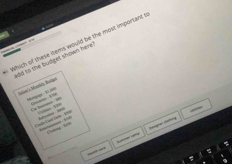 Which of these items would be the most important 
Lnancial Literacy - SIS 
dd to the budget shown here 
Julian's Monthly Budget 
Mortgage - $1,000
Groceries - $700
Car Insurance - $80
Babysiter - $800
Credit Card Debt - $500 Utilities - $200
Designer clothing Utilities 
Entertainment - $100
Clothing - $200
Health care Summer camp 
a