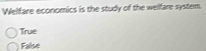 Welfare economics is the study of the welfare system.
True
False