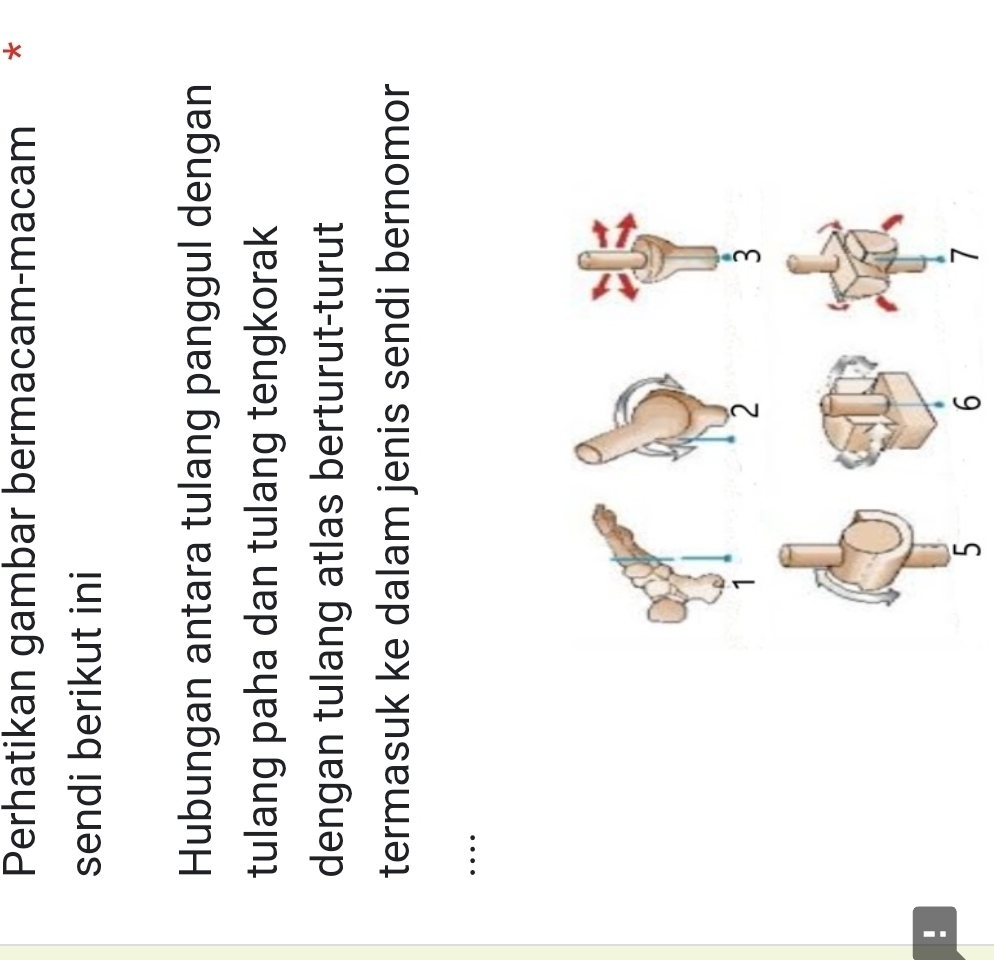 Perhatikan gambar bermacam-macam * 
sendi berikut ini 
Hubungan antara tulang panggul dengan 
tulang paha dan tulang tengkorak 
dengan tulang atlas berturut-turut 
termasuk ke dalam jenis sendi bernomor 
_… 
!