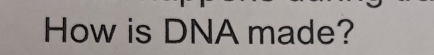 How is DNA made?