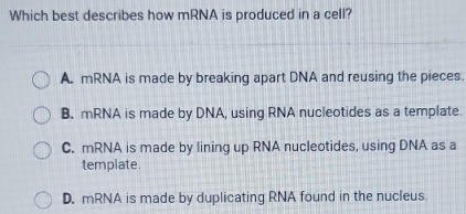 Which best describes how mRNA is produced in a cell?
A. mRNA is made by breaking apart DNA and reusing the pieces.
B. mRNA is made by DNA, using RNA nucleotides as a template.
C. mRNA is made by lining up RNA nucleotides, using DNA as a
template.
D. mRNA is made by duplicating RNA found in the nucleus.