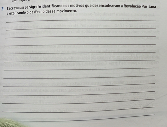 Escreva um parágrafo identificando os motivos que desencadearam a Revolução Puritana 
e explicando o desfecho desse movimento. 
_ 
_ 
_ 
_ 
_ 
_ 
_ 
_ 
_ 
_ 
_ 
_ 
_