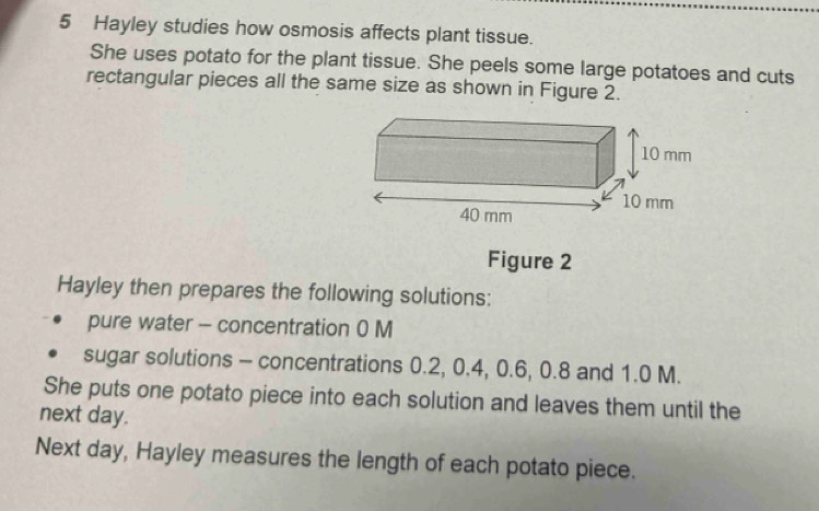 Hayley studies how osmosis affects plant tissue. 
She uses potato for the plant tissue. She peels some large potatoes and cuts 
rectangular pieces all the same size as shown in Figure 2. 
Figure 2 
Hayley then prepares the following solutions: 
pure water - concentration 0 M
sugar solutions - concentrations 0.2, 0.4, 0.6, 0.8 and 1.0 M. 
She puts one potato piece into each solution and leaves them until the 
next day. 
Next day, Hayley measures the length of each potato piece.