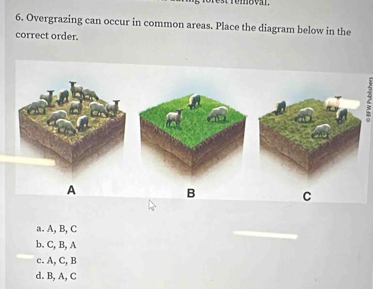 Solved: Overgrazing can occur in common areas. Place the diagram below ...