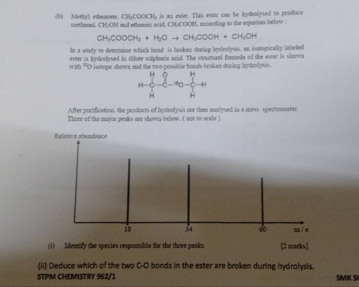 Methyl ethanoate. CH_3COOCH_3 g is an ester. This ester can be hydrolysed to produce 
methanol. CH; OH and ethanoic acid. CH₃COOH, according to the equation below :
CH_3COOCH_3+H_2Oto CH_3COOH+CH_3OH
In a study to determine which bond is broken during hydrolysis. an isotopically labeled 
ester is hydrolysed in dilute sulphuric acid. The structural formula of the ester is shown 
with †*O isotope shown and the two possible bonds broken during hydrolysis. 
After purification. the products of hydrolysis are then analysed in a mass spectrometer. 
Three of the major peaks are shown below. ( not to scale ) 
Relative abundance
34
18 m / e
60
(i) Identify the species responsible for the three peaks [2 marks] 
(ii) Deduce which of the two C-O bonds in the ester are broken during hydrolysis. 
STPM CHEMISTRY 962/1 SMK S