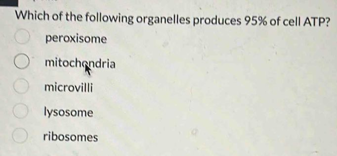 Which of the following organelles produces 95% of cell ATP?
peroxisome
mitochondria
microvilli
lysosome
ribosomes