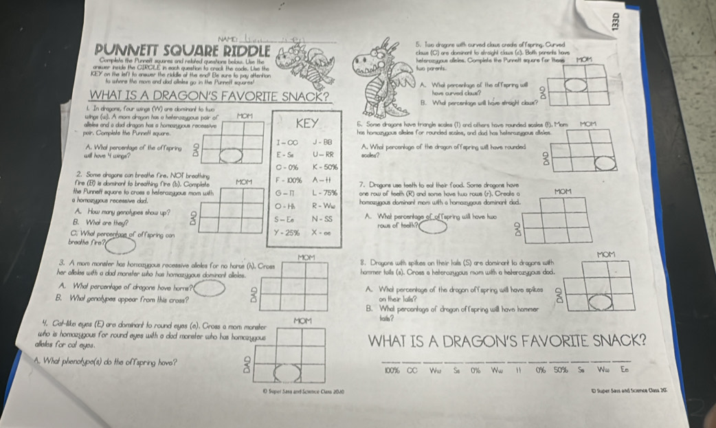 NAME:  l a n   
PUNNETT SQUARE RIDDLE. Two dragone with curved claws create offspring. Curved
aws (C) are dominant to straight claws (c). Both parents havs
Compliste the Punnett squares and reloted questions below. Use the
arswer insicle the CIRGLE in each question to crack the cade. Use the wo parents. eterozyyous alleles. Compliete the Punnett square for ltess MOM
KEY on the left to answer the riddle of the end! Be sure to pay attention
to where the mom and dad cileles go in the Punnett squares' A. What percentage of the offspring will
WHAT IS A DRAGON'S FAVORITE SNACK?have curved claws?
1. In dragons, four wings (W) are dominant to two B. What percenkage will have straight clows?
winge (w). A mom dragon has a heterazygous pair of MOM
alleles and a dad dragon has a homazygous recessive KEY 6. Some dragons have triangle scales (T) and others have rounded scales (f). Mom MCM
pair. Complate the Purnett aquare. J - BB has homazygous alleles for roundled scales, and dad has heterazygous alleles
A. What percentage of the offspring I - ∞C A. What percentoge of the dragon offspring will have rounded
will have 4 wings? E - Sa U-RR ocales?
C - 0% K - 50%
2. Some aragons con breathe fire. NOT breathing
Nire (B) is dominant to breathing fire (b). Complate MOM F - 100% A - H+ 7. Dragons use teeth to eal their food. Some drogons have
the Punneft square to cross a heferozygous mom with G -π L - 75% one row of teeth (R) and some have two rows (r). Creats a MOM
a homozygous recessive dad. ○ - Hh R - Ww homazygous dominent mom with a homazygous dominant ded.
A. How many genotypes show up?
B. What are they? S - Ea N - SS A. What percentage of_ofIspring will have two
C. What percentoge of offspring can Y - 25% X - ∞e rows of teeth?
3
breathe fire?
MOM
3. A mom mons/er has homazygous recessive alleles for no horus (h). Cross 8. Drayons with spikes on their tails (S) are dominant to dragons wi
her alleles with a dad monster who has homazygous dominant alleles. hommer tails (s). Cross a haterozygous mom with a haterozygous da
A. What percentage of dragons have horns? A. What percentage of the dragon off spring will have spikes
B. What genotypes appear from this cross? on their lalls?
B. Whet percentage of dragon offspring will have hammer
4. Cat-like eyes (E) are dominant to round eyes (e). Cross a mom monster MOM tails ?
who is homazygous for round eyes with a ded monster who has homazygous
alleles for cal eyes. WHAT IS A DRAGON'S FAVORITE SNACK?
A. What phenotype(s) do the offspring have?
_
100% CC Ww So 0% Ww 0% 50% So Ww Ee
i Super Sasa and Scinco Class 2020
1 Super Sais and Science Class 20.