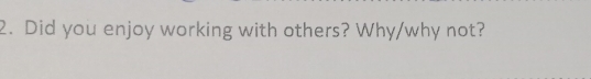 Did you enjoy working with others? Why/why not?