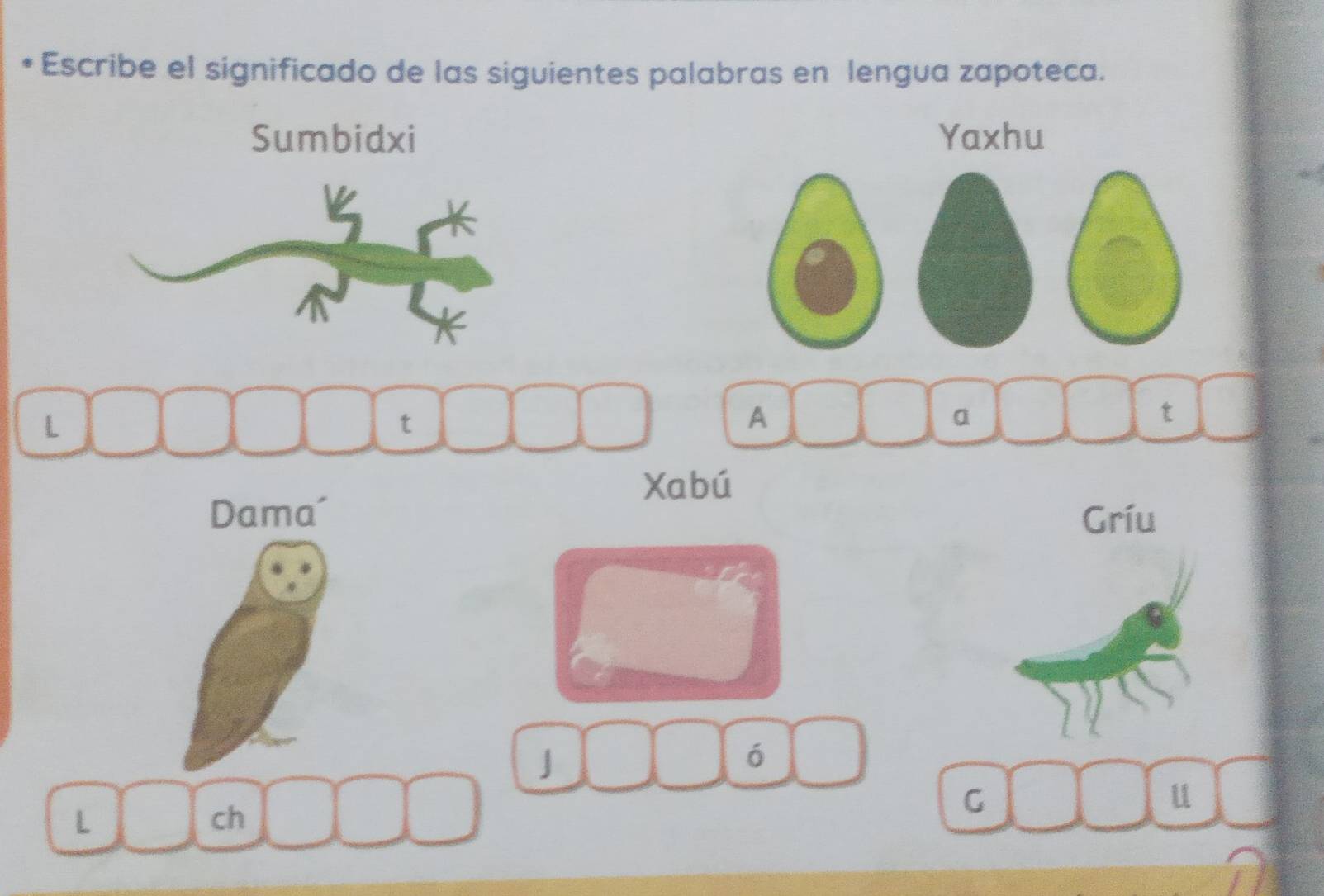 Escribe el significado de las siguientes palabras en lengua zapoteca. 
Sumbidxi Yaxhu 
A 
a 
t 
Xabú 
Dama´ Gríu 
J 
6 
u 
L 
ch 
C