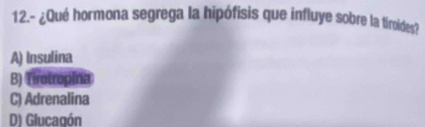 12.- ¿Qué hormona segrega la hipófisis que influye sobre la tiroides?
A) Insulina
B) Tirotropina
C) Adrenalina
D) Glucagón