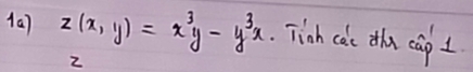 z(x,y)=x^3y-y^3x Tich cae the cap I 
2