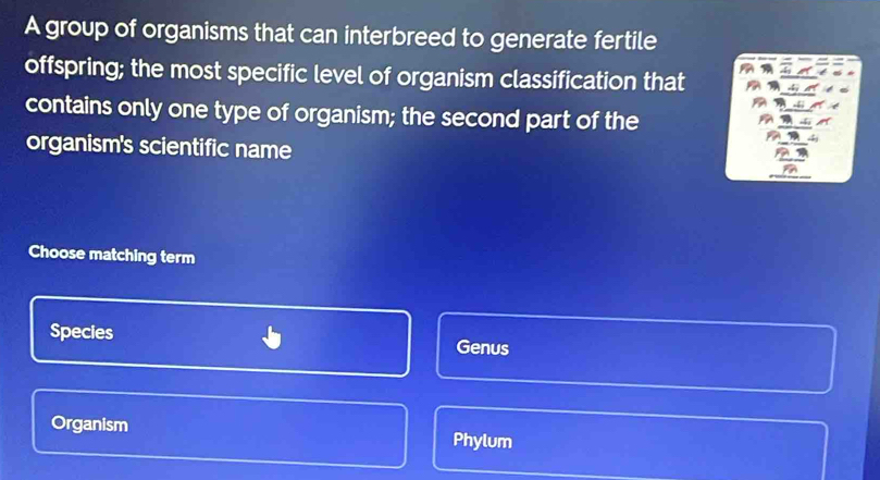 A group of organisms that can interbreed to generate fertile
offspring; the most specific level of organism classification that
contains only one type of organism; the second part of the
organism's scientific name
Choose matching term
Species Genus
Organism Phylum