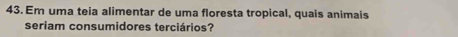 Em uma teia alimentar de uma floresta tropical, quais animais 
seriam consumidores terciários?