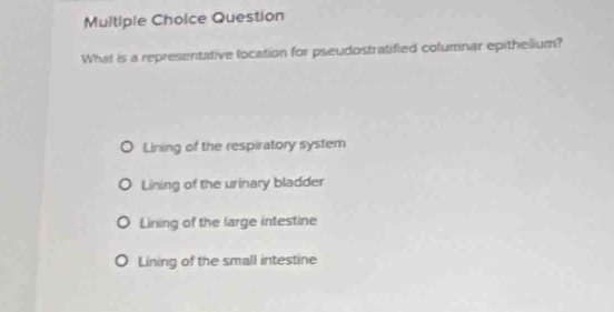 Question
What is a representative location for pseudostratified columnar epithelium?
Lining of the respiratory system
Lining of the urinary bladder
Lining of the large intestine
Lining of the small intestine