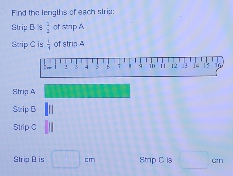 Find the lengths of each strip: 
Strip B is  1/2  of strip A 
Strip C is  1/4  of strip A 
Strip A 
Strip B 
Strip C 
Strip B is □ cm Strip C is □ cm