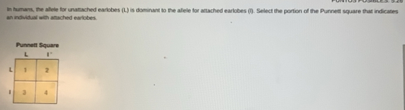 In humans, the allele for unattached earlobes (L) is dominant to the allele for attached earlobes (l). Select the portion of the Punnett square that indicates
an individual with attached earlobes.