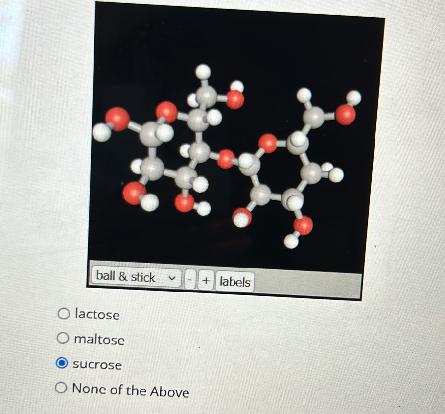 maltose
sucrose
None of the Above