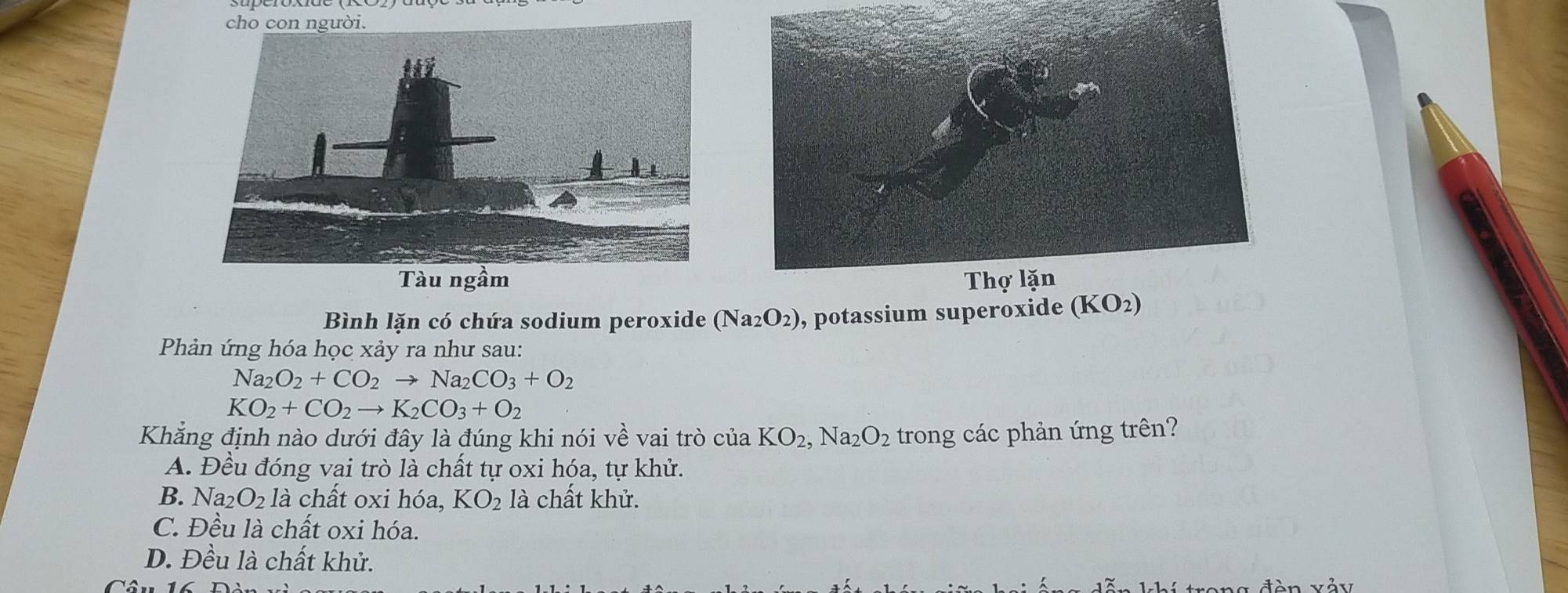 Tàu ngầm
Bình lặn có chứa sodium peroxide (Na_2O_2) , potassium superoxide (KO_2)
Phản ứng hóa học xảy ra như sau:
Na_2O_2+CO_2to Na_2CO_3+O_2
KO_2+CO_2to K_2CO_3+O_2
Khẳng định nào dưới đây là đúng khi nói về vai trò ciaKO_2, Na_2O_2 trong các phản ứng trên?
A. Đều đóng vai trò là chất tự oxi hóa, tự khử.
B. Na_2O_2 là chất oxi hóa, KO_2 là chất khử.
C. Đều là chất oxi hóa.
D. Đều là chất khử.
tang đèn vảu