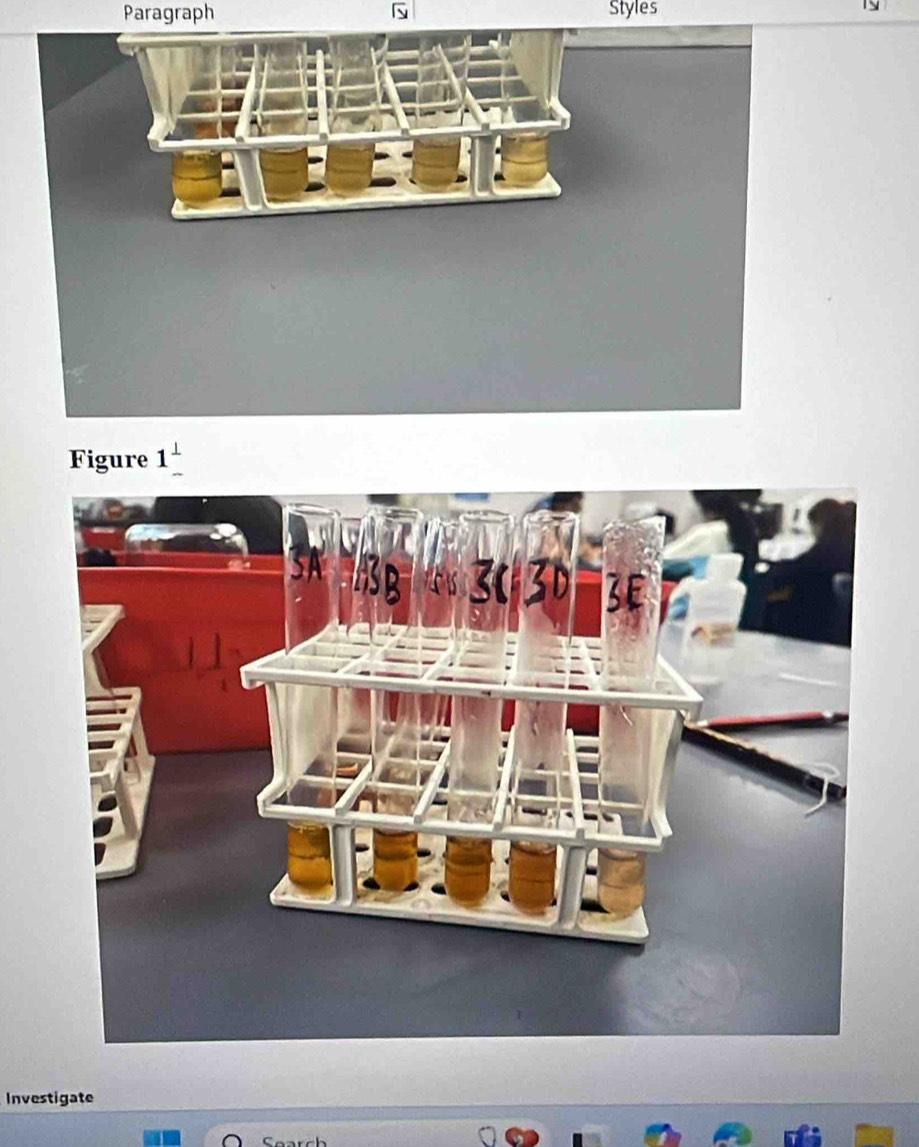 Paragraph Styles 
Figure 1 
Investigate