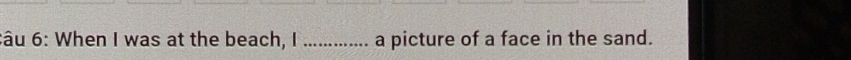 âu 6: When I was at the beach, I _a picture of a face in the sand.