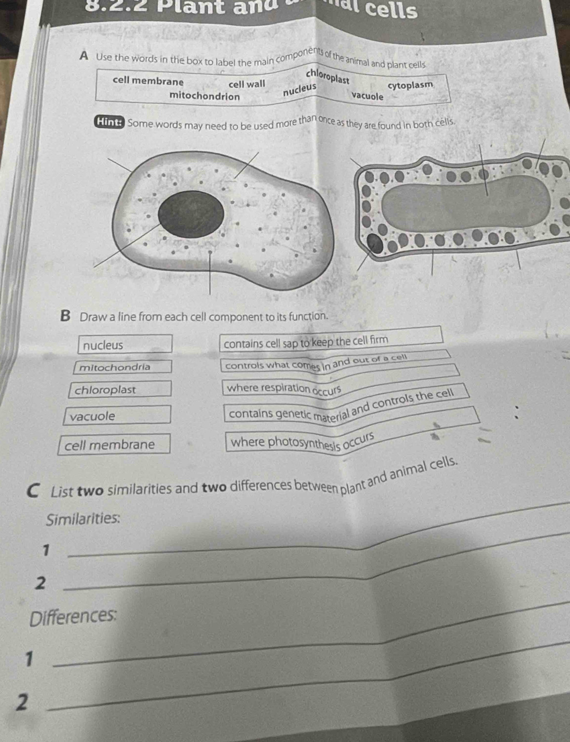 in lant and n l s 
A Use the words in the box to label the main components of the animal and plant cells
chloroplast
cell membrane cell wall
mitochondrion nucleus cytoplasm
vacuole
m a Some words may need to be used more than once as they are found in both cells
B Draw a line from each cell component to its function.
nucleus contains cell sap to keep the cell firm
mitochondria
controls what comes in and out of a cell
chloroplast where respiration occurs
vacuole
contains genetic material and controls the cell
cell membrane where photosynthesis occurs
a
_
C List two similarities and two differences between plant and animal cells.
Similarities:
1
2
_
Differences:
1
_
2
_