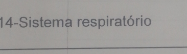 14-Sistema respiratório