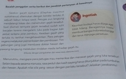 Bacalah penggalan cerita berikut dan jawablah pertanyaan di bawahnya! 
Seekor gajah sumatra (Elephas maximus 
sumatranus) ditemukan dəngan kondisi terluka di Ingatlah 
sebuah kebun kełapa sawit. Petugas pun langsung 
mendatangi lokasi dan menemukan gajah tersebut. 
Saat diamati ternyata gajah tersebut sudah sulit Keunikan budaya harus dijaga age 
berjalan karena mengalami luka pada bagian kaki tidak hilang. Beragamnya trad s 
akibat terkena jerat pemburu. Keadaan gajah yang membuat bangsa Indonesia bangga 
terluka itu terlhat mengkhawatirkan. Para petugas 
segera melakukan pemeriksaan dan pembiusan. Tim dan terus menjaga persatuan. 
gabungan yang juga membawa dokter hewan dan 
pawang langsung melakukan tindakan medis terhadap gajah itu. 
(Dikutip dengan pengubahan dari wwwe.news.okezone.com) 
Menurutmu, mengapa para petugas mau memeriksa dan merawat gajah yang luka tersebut? 
Selain kepada sesama manusia, rasa peduli dan kasih sayang harus ditunjukkan pada tumbuhan 
dan hewan. Apakah nilai sila yang sesuai dengan perilaku tersebut? Jelaskan jawabanmu!