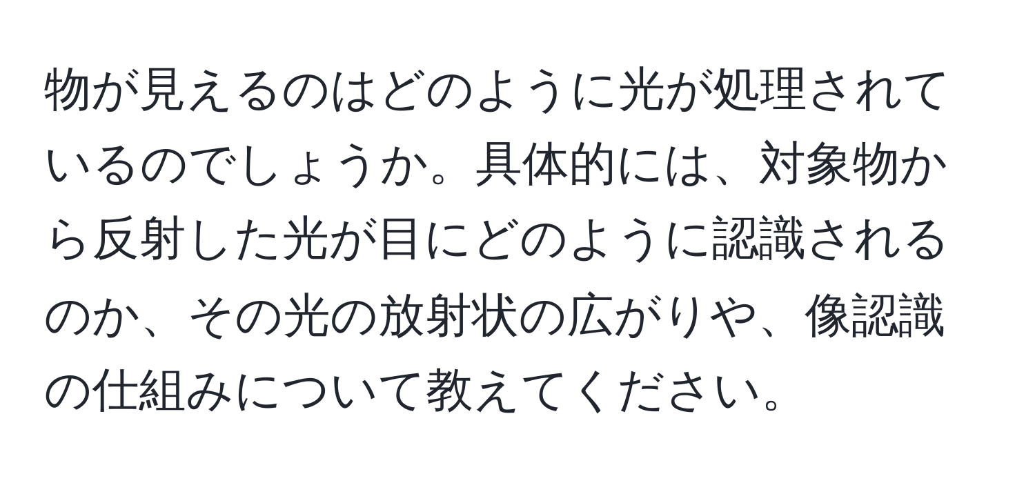 物が見えるのはどのように光が処理されているのでしょうか。具体的には、対象物から反射した光が目にどのように認識されるのか、その光の放射状の広がりや、像認識の仕組みについて教えてください。