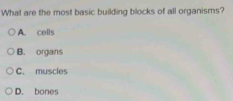 What are the most basic building blocks of all organisms?
A. cells
B. organs
C. muscles
D. bones